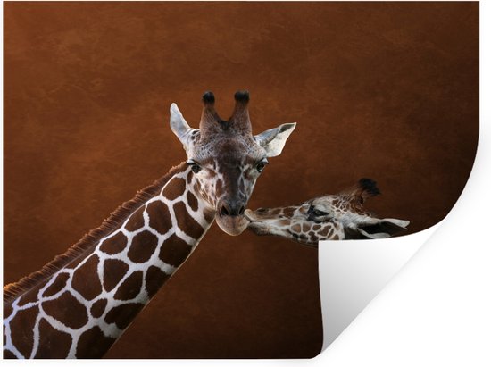 Sticker Muursticker Close-up Girafe - Gros plan de girafe se faisant embrasser par son petit - 40x30 cm - film adhésif autocollant - sticker mural repositionnable