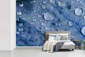 Behang - Fotobehang Druppels op een blauw blad - Breedte 330 cm x hoogte 220 cm