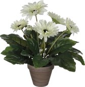 2x stuks gerbera kunstplanten wit in keramiek pot H35 cm - Kunstplanten/nepplanten met bloemen