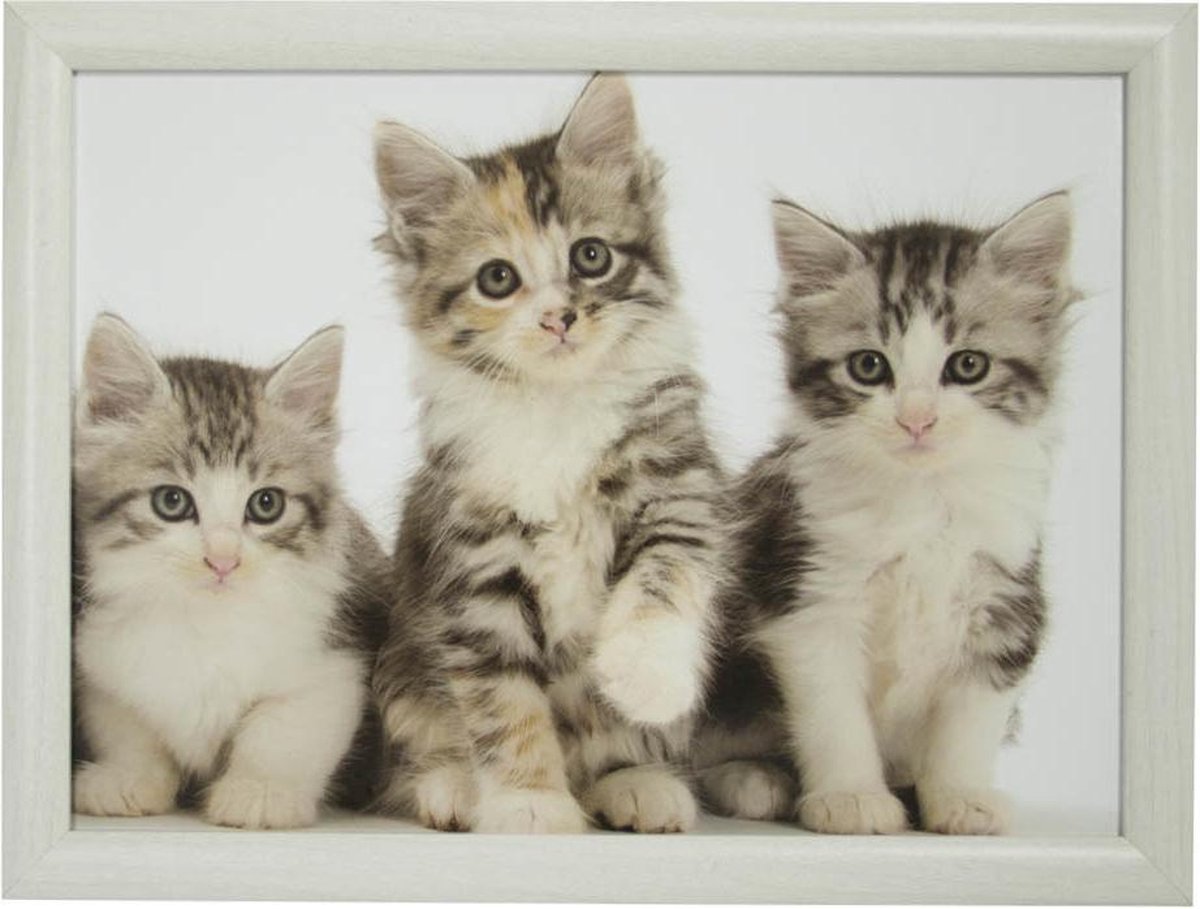 2x Schootkussen/laptray 3 katten/poezen kittens print 43 x 32 cm - Kat/poes dieren artikelen - Schoottafels - Dienbladen