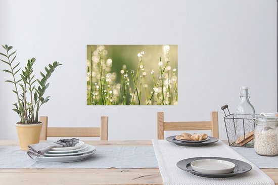 Sticker Muursticker Rosée précoce - Rosée précoce sur brins d'herbe - 60x40 cm - film adhésif autocollant - sticker mural repositionnable