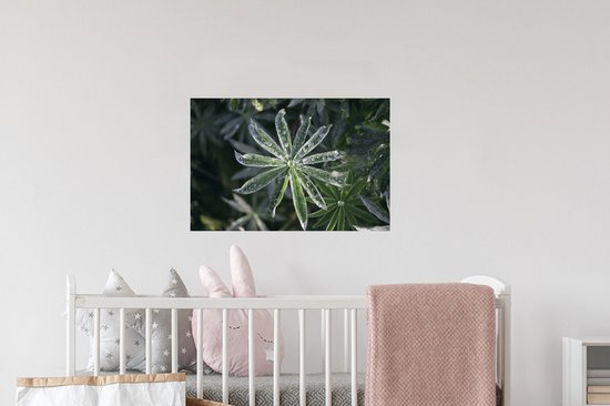 Sticker Muursticker Rosée précoce - Gouttes de rosée précoce sur feuilles - 60x40 cm - film adhésif autocollant - sticker mural repositionnable