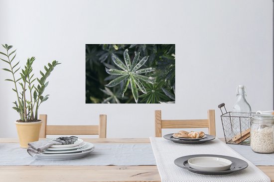 Sticker Muursticker Rosée précoce - Gouttes de rosée précoce sur feuilles - 60x40 cm - film adhésif autocollant - sticker mural repositionnable