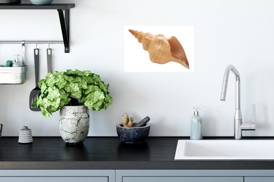 Sticker Muursticker Coquillages - Coquille d'escargot de mer - 30x20 cm - Film adhésif autocollant - Sticker mural repositionnable