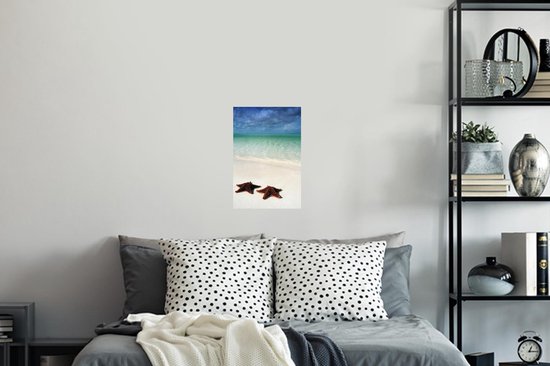 Sticker Muursticker Étoile de mer - Deux grandes étoiles de mer se trouvent sur la côte de Cuba - 20x30 cm - Film adhésif autocollant - Sticker mural repositionnable