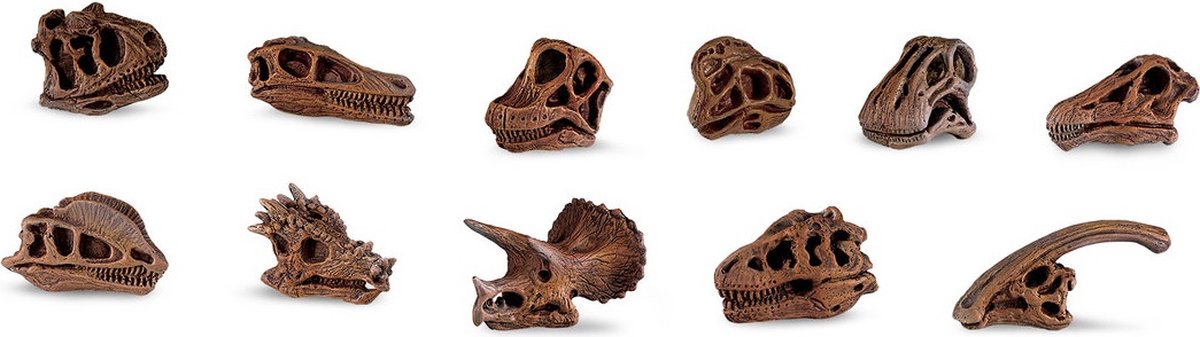 Safari Speelset Dinoschedels Junior 4-7,5 Cm 48 Stuks