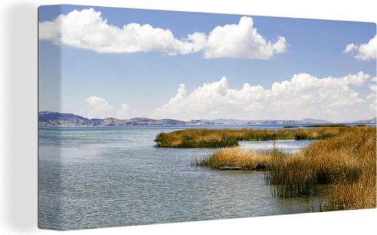 Roseaux au lac Titicaca 40x20 cm - Tirage photo sur toile (Décoration murale salon / chambre)