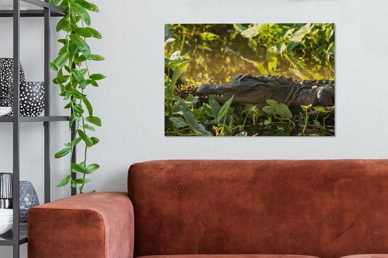 Alligator américain en toile nature 2cm 60x40 cm - Tirage photo sur toile (Décoration murale salon / chambre)