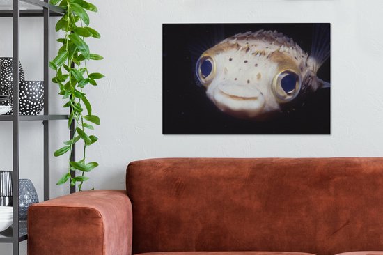 Gros plan poisson-globe 60x40 cm - Tirage photo sur toile (Décoration murale salon / chambre) / Peintures sur toile animaux sauvages