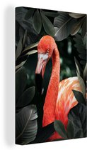 Flamingo parmi les feuilles 40x60 cm - Tirage photo sur toile (Décoration murale salon / chambre)