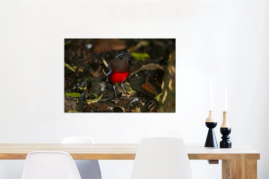 Canvas Schilderij Een gekleurde vogel in het Nationaal park Kerinci Seblat - 60x40 cm - Wanddecoratie