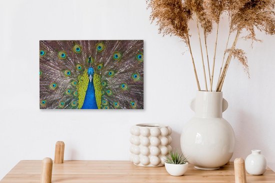 Mâle paon exhibe ses plumes rouges Toile 30x20 cm - petit - Tirage photo sur toile (Décoration murale salon / chambre)