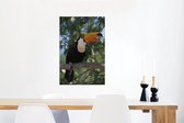 Un toucan assis dans un arbre Toile 60x90 cm - Tirage photo sur toile (Décoration murale salon / chambre)
