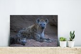 Canvas Schilderij Hyena - Welp - Rots - 30x20 cm - Wanddecoratie