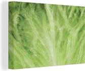 Gros plan d'une feuille de laitue vert clair Toile 30x20 cm - petit - Tirage photo sur toile (Décoration murale salon / chambre)