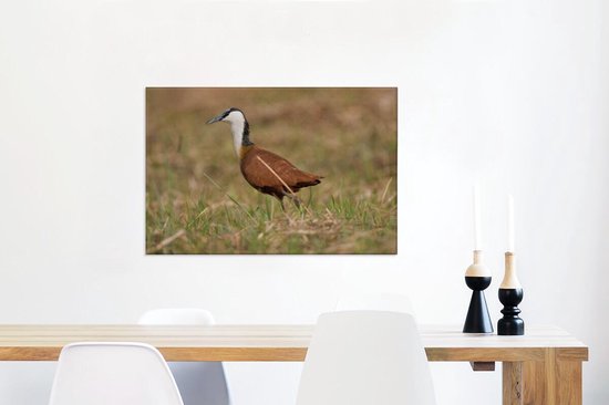 Canvas Schilderij Afrikaanse jacana of lotusvogel in de droge natuur van Afrika - 60x40 cm - Wanddecoratie