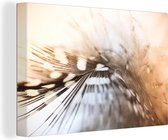 Plume photo douce lumière toile 80x60 cm - Tirage photo sur toile (Décoration murale salon / chambre)