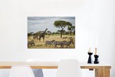 Canvas Schilderij Giraffen en Zebras samen op de savannes van het Nationaal park Serengeti - 90x60 cm - Wanddecoratie
