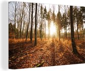 Canvas Schilderij Zon - Bomen - Bos - 90x60 cm - Wanddecoratie