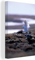 Snowy Owl débarque sur la plage Toile 60x90 cm - Tirage photo sur toile (Décoration murale salon / chambre)