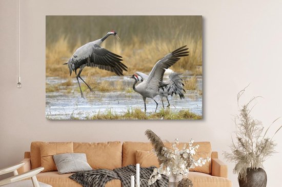 Grues européennes en eaux peu profondes Toile 180x120 cm - Tirage photo sur toile (Décoration murale salon / chambre) XXL / Groot format!