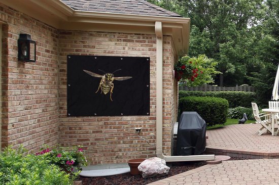 Affiche de jardin Guêpe - Insectes - Portrait - 120x90 cm