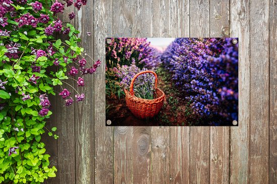 Panier entre grands buissons de fleurs 90x60 cm