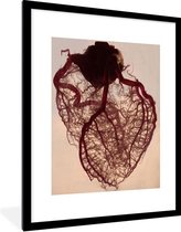 Fotolijst incl. Poster - Anatomisch hart - 60x80 cm - Posterlijst