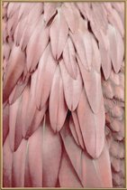 JUNIQE - Poster met kunststof lijst Pastel Feathers -20x30 /Roze