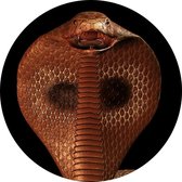 Bruine Cobra Art - Foto op Behangcirkel - ⌀ 60 cm