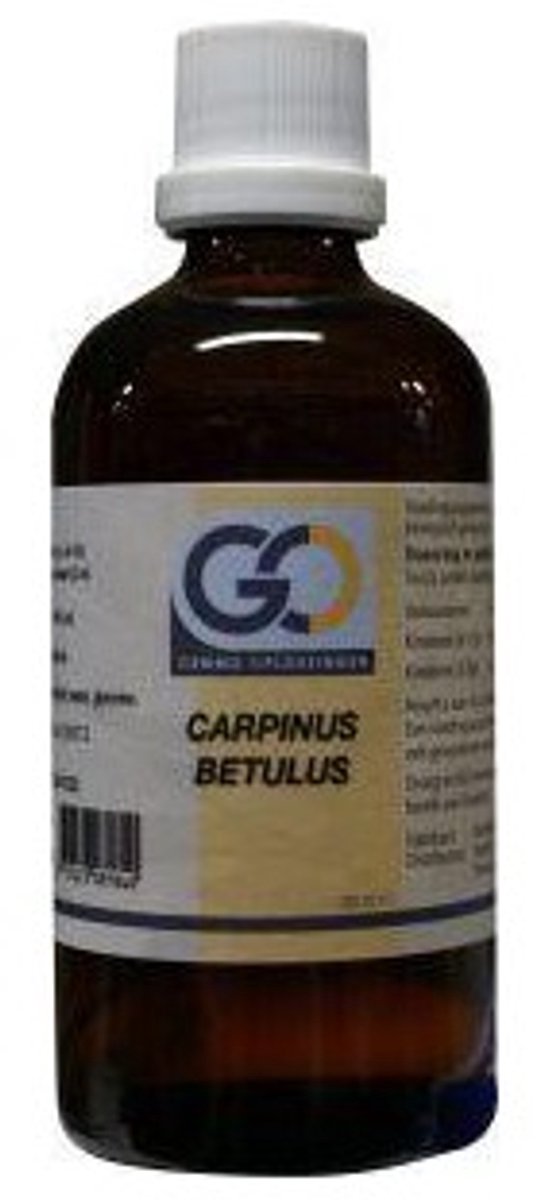 Goedkoopste Go Carpinus Betulus