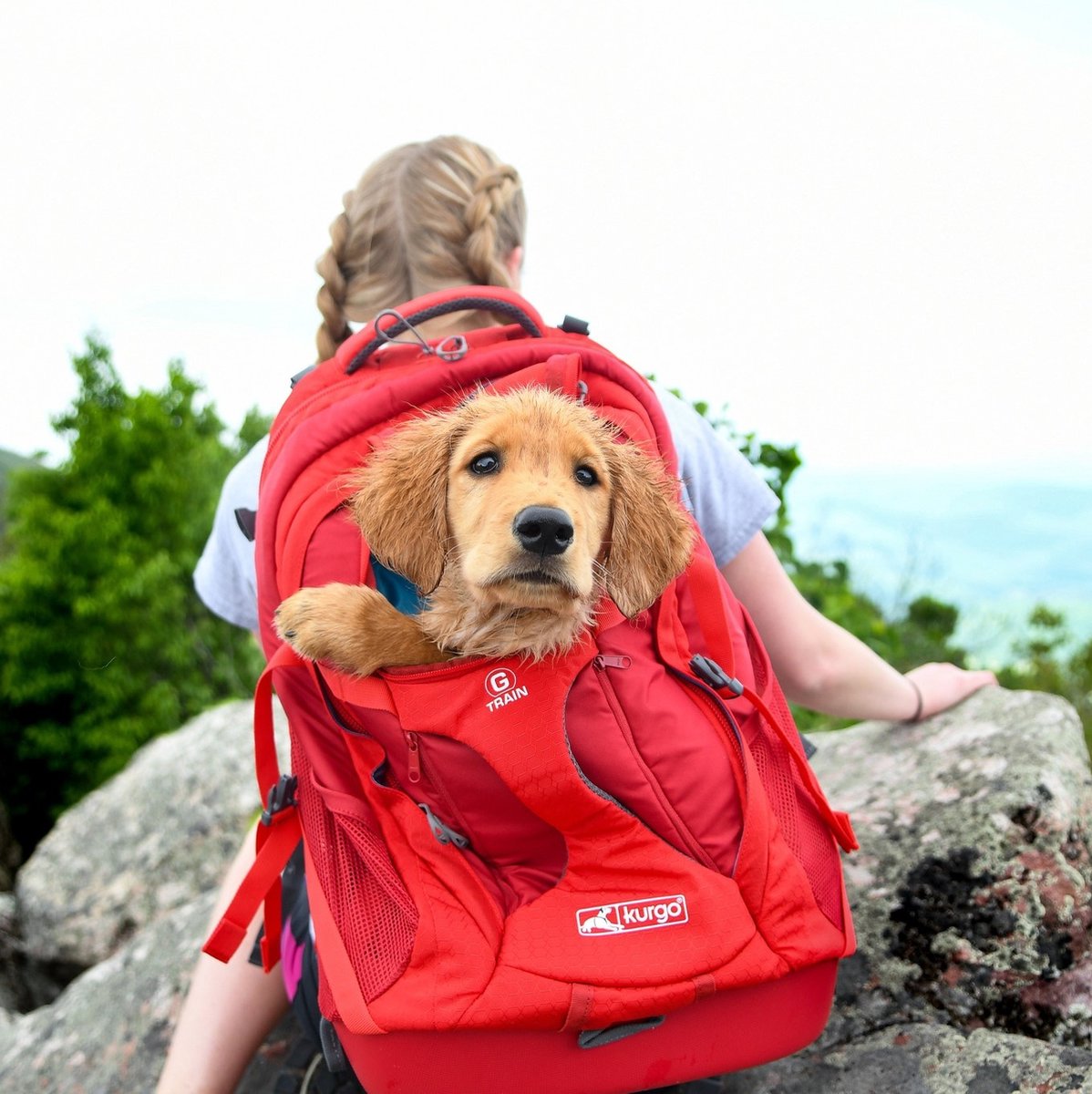 Autotas Vacation | Veilig op reis met uw hond