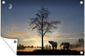 Tuindecoratie Olifanten in zonsondergang - 60x40 cm - Tuinposter - Tuindoek - Buitenposter