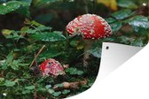 Muurdecoratie Twee rood met witte paddenstoelen - 180x120 cm - Tuinposter - Tuindoek - Buitenposter