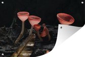 Tuindecoratie Rode paddenstoelen in het donker - 60x40 cm - Tuinposter - Tuindoek - Buitenposter