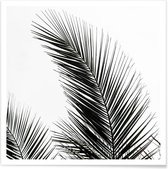 JUNIQE - Poster Palm Leaves 1 -20x20 /Groen & Wit