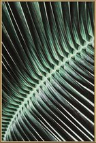 JUNIQE - Poster met kunststof lijst Curved Palm -20x30 /Groen