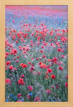 JUNIQE - Poster in houten lijst Poppy Seed Heaven -30x45 /Groen & Rood
