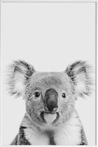 JUNIQE - Poster in kunststof lijst Koala Classic -30x45 /Wit & Zwart