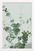 JUNIQE - Poster in houten lijst Eucalyptus Green 2 -20x30 /Groen & Wit