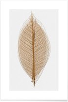 JUNIQE - Poster Skeleton of a Leaf II -13x18 /Bruin & Wit