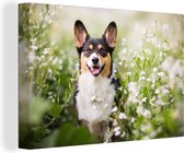 Tableau Toile Chien - Fleurs - Corgi - 180x120 cm - Décoration murale XXL