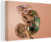 Caméléon avec toile motif camouflage 30x20 cm - petit - Tirage photo sur toile (Décoration murale salon / chambre)