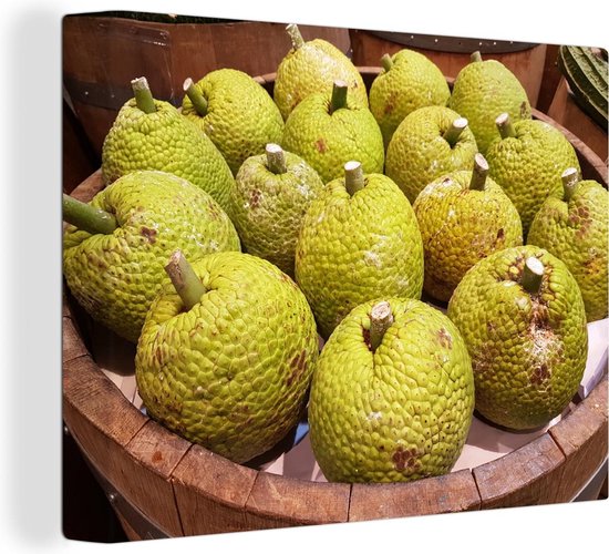 Gros plan d'Artocarpus altilis frais ou connu sous le nom d'arbre à ...