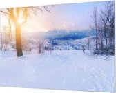 Wandpaneel Zonnig winterlandschap  | 180 x 120  CM | Zilver frame | Akoestisch (50mm)