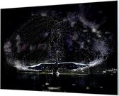 Wandpaneel Zwaan Water en Licht Spel  | 210 x 140  CM | Zwart frame | Akoestisch (50mm)