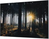 Wandpaneel Zon door de Bomen  | 150 x 100  CM | Zwart frame | Wand-beugels (27 mm)