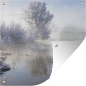 Affiche jardin - Cygnes en hiver - 100x100 cm - XXL