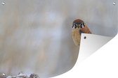 Muurdecoratie Vogel - Tak - Sneeuw - 180x120 cm - Tuinposter - Tuindoek - Buitenposter