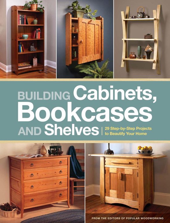 Building Cabinets, Bookcases & Shelves - cover